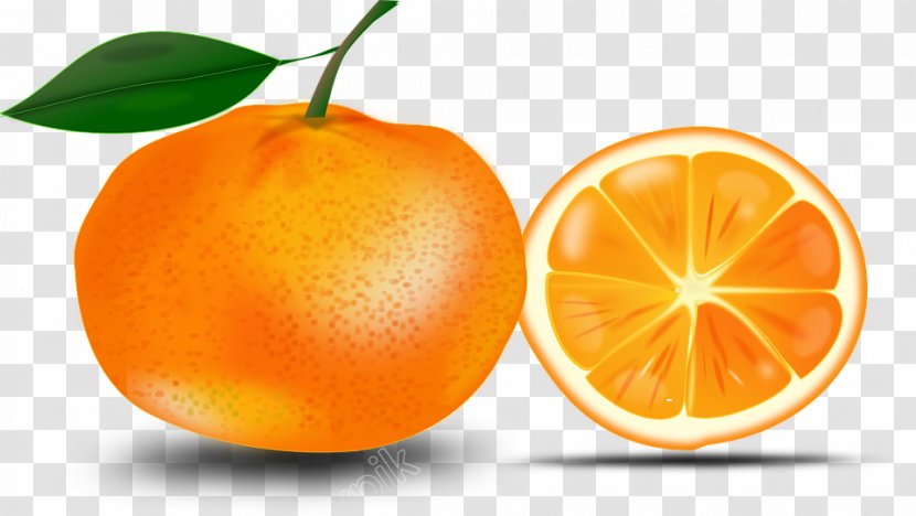 Shareware Treasure Chest: Clip Art Collection Vector Graphics Openclipart Orange - Tangerine Transparent PNG