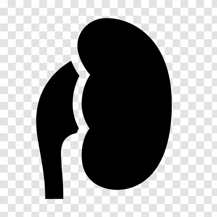 Clip Art - Logo - Kidney Transparent PNG