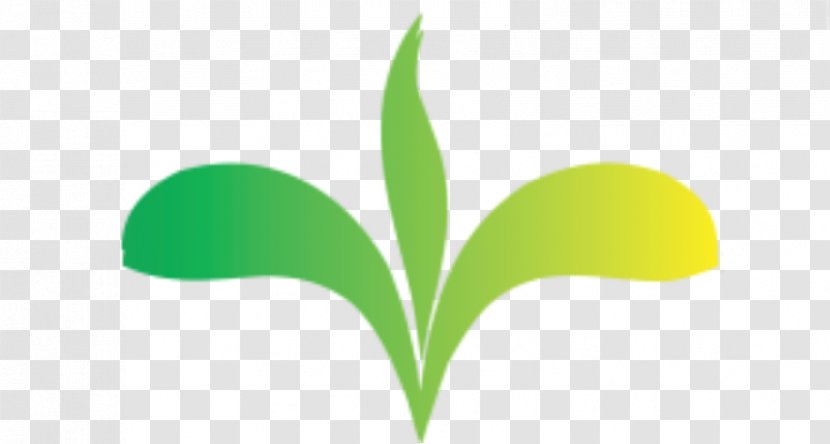 Logo Leaf Font Green Product - Plant Transparent PNG