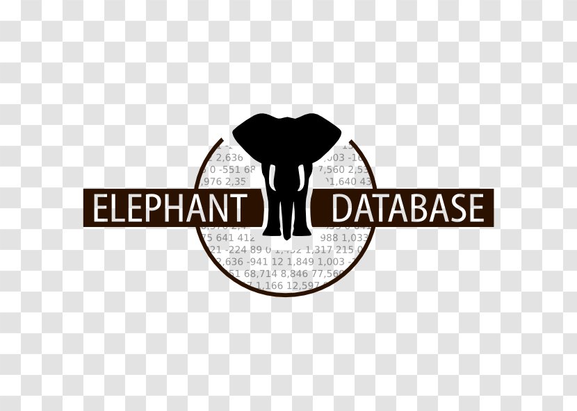Elephantidae Asian Elephant African Statistics Information - Table Transparent PNG