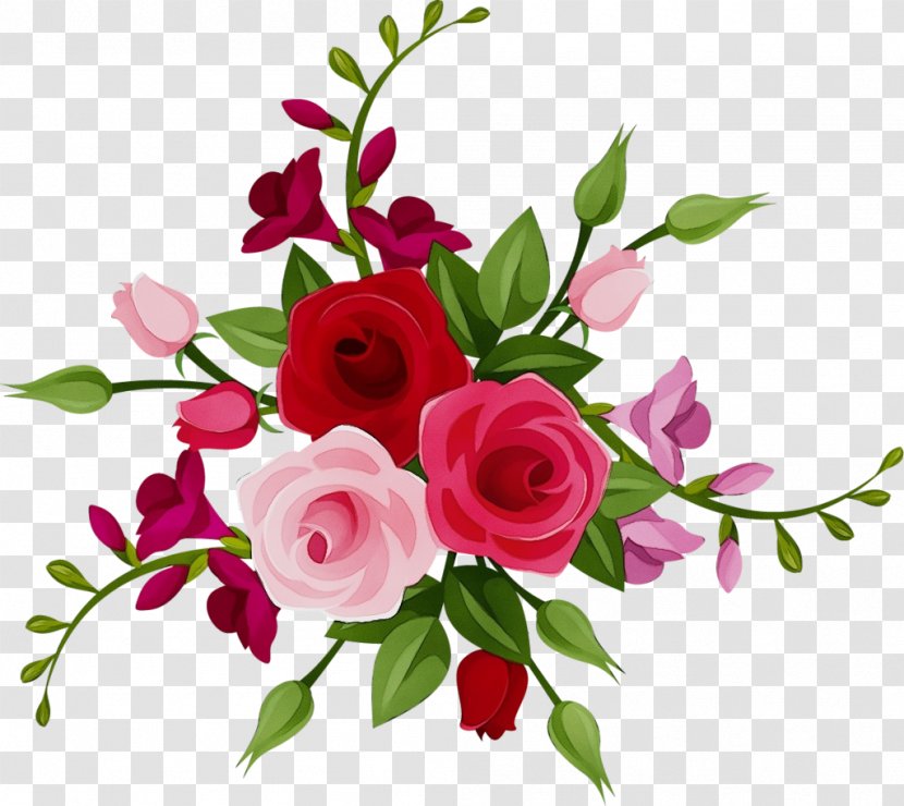 Garden Roses - Floristry - Flower Arranging Transparent PNG