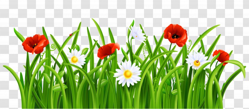 Flower Lawn Clip Art - Poppies And Daisies With Grass Clipart Picture Transparent PNG