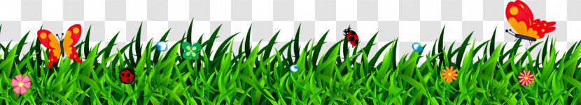 Grass Lawn - Family Transparent PNG
