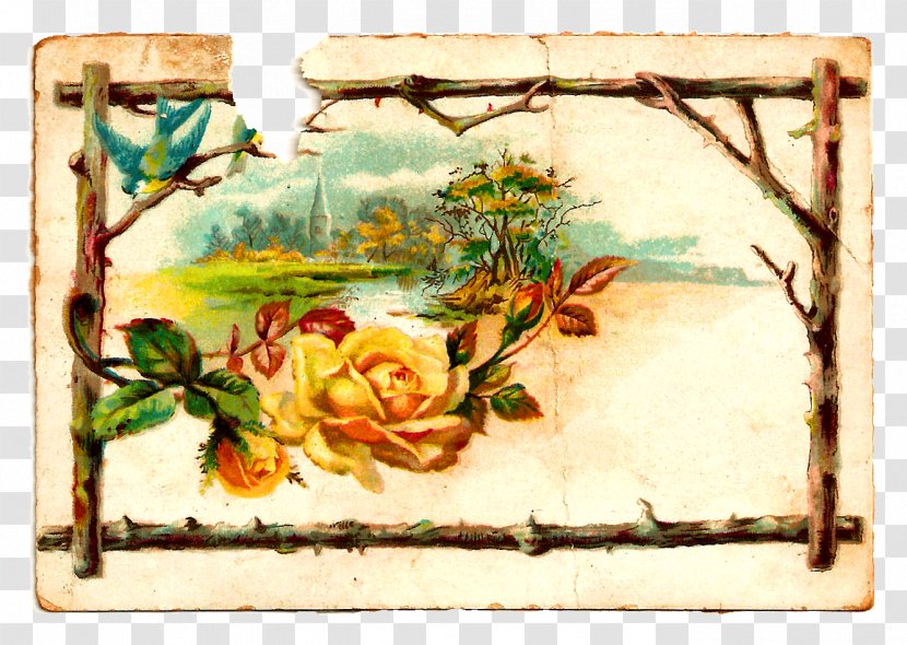 Paper Floral Design Clip Art - Scrapbooking - Rose Label Collection Transparent PNG