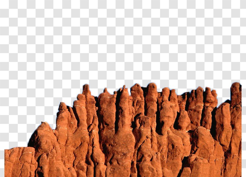 Bryce Canyon National Park Grand Coyote Gulch Valley Of Fire State Kings - Wood - Rock Image Transparent PNG