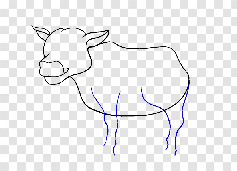 English Longhorn Drawing Paper Cartoon Sketch - Pencil - Wavy Lines Transparent PNG