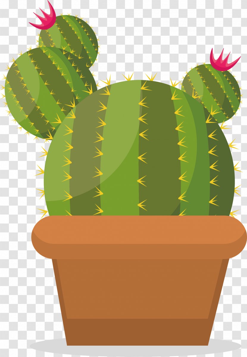 Prickly Pear Cactaceae - Flowerpot - Green Cactus Transparent PNG