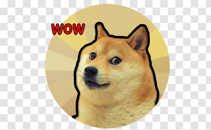 Extreme Survival Run Janusz Kliker Crazy Camping! Messy Sibling! Doge Swag Clicker Android - Non Sporting Group Transparent PNG