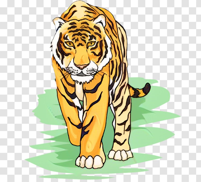 Tiger Lion Clip Art Whiskers Illustration - Carnivore Transparent PNG