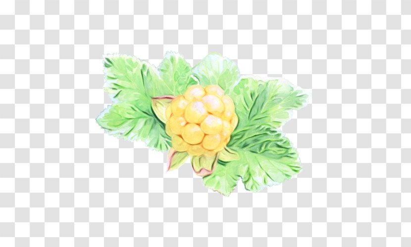 Flower Plant - Yellow Transparent PNG