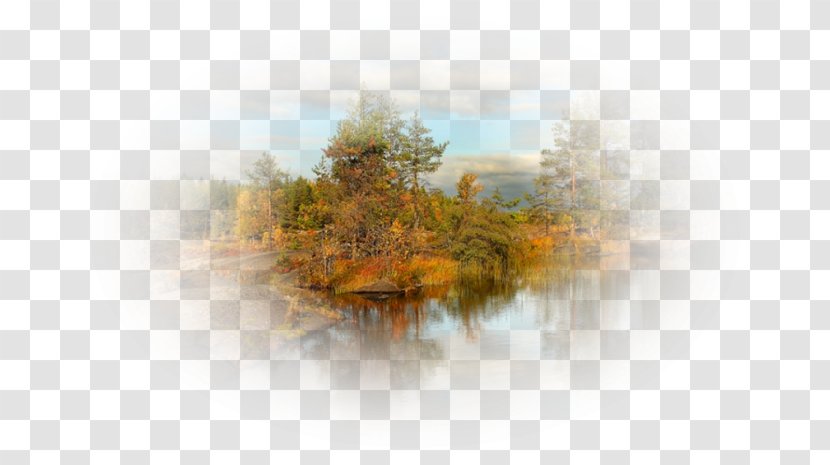 Water Desktop Wallpaper Computer Tree - Fog Transparent PNG
