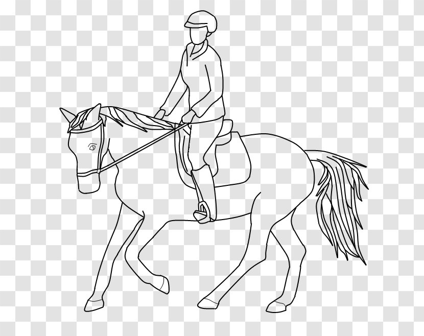 Mustang Pony Mane Line Art Equestrian - Rearing Transparent PNG