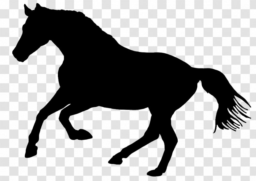 Horse Vector Graphics Stallion Logo - Andalusian Silhouette Transparent PNG