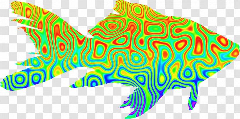 Goldfish Psychedelia Clip Art - Fish Transparent PNG