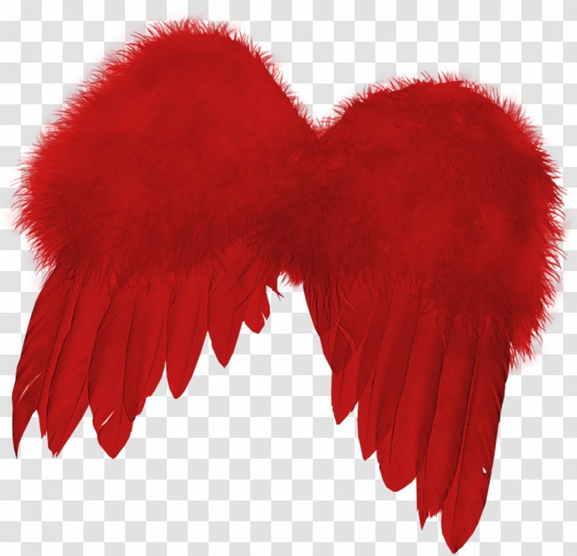 Feather - Wing - Red Wings Transparent PNG