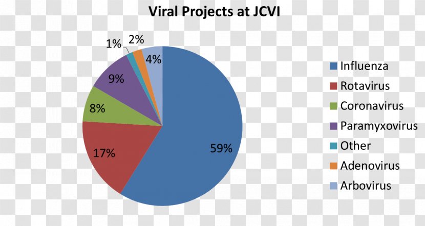 Pie Chart Virus Diagram Statistics - Infection - Circle Transparent PNG