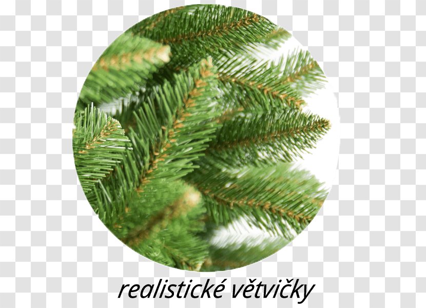 Spruce Christmas Ornament Day Biome - Conifer - Congresswoman Vicky Hartzler Transparent PNG