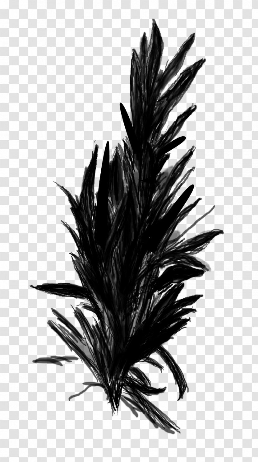 Palm Trees - Grass - Leaf Transparent PNG