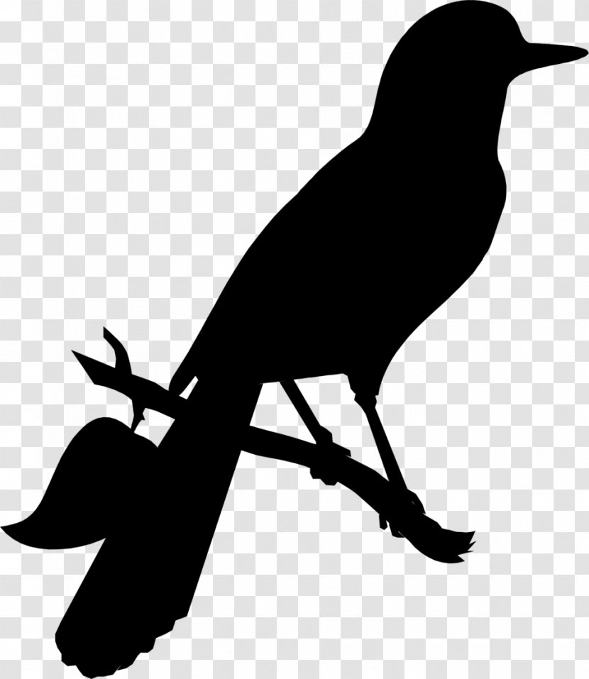 American Crow Clip Art Advertising Fauna Silhouette - Raven Transparent PNG