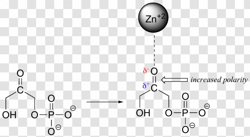 Bond Dipole Moment Intermolecular Force Chemistry Electronegativity - Science - Polar Biology Transparent PNG