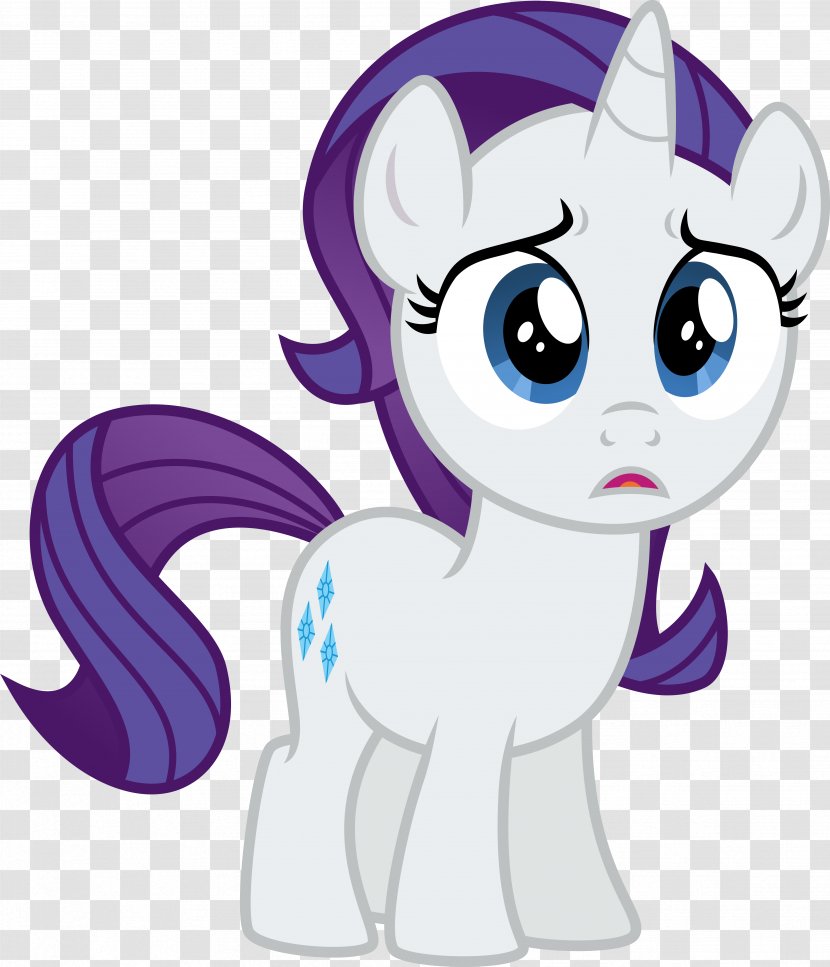 Rarity Pony Filly Fluttershy Sweetie Belle - Frame - Shetland Transparent PNG