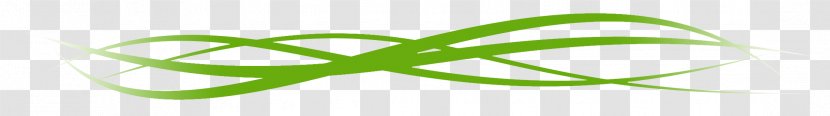 Leaf Logo Font Desktop Wallpaper Plant Stem Transparent PNG