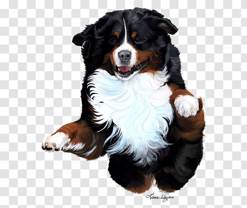 Bernese Mountain Dog Breed Companion Painting - Like Mammal Transparent PNG