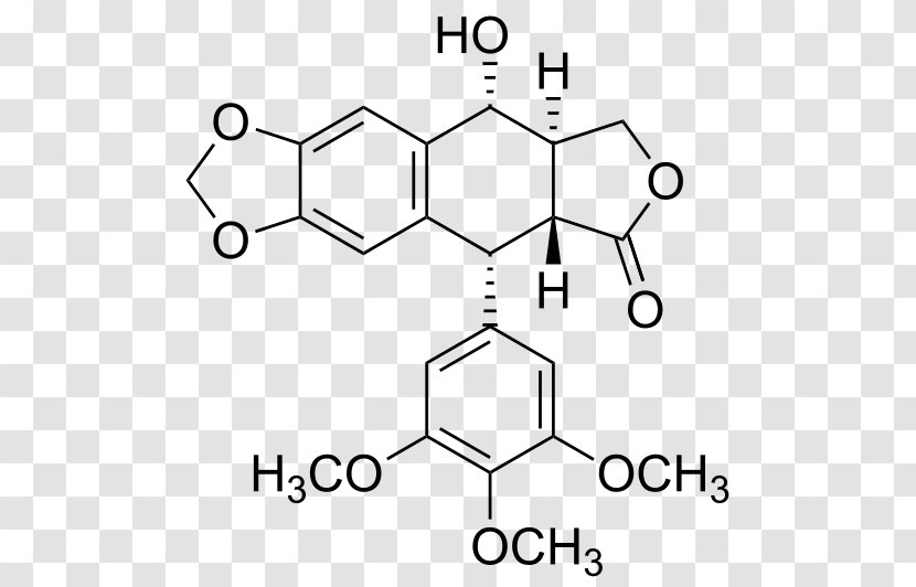 Podophyllum Peltatum Podophyllotoxin Lignan Resin Etoposide - Symmetry - Dispute Transparent PNG