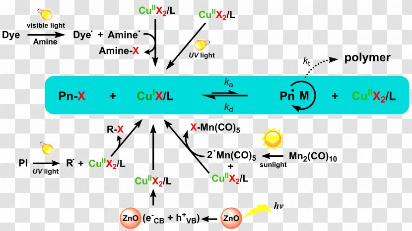 Catalysis Photochemistry Atom Transfer Radical Polymerization - Chemical Reaction Engineering - Polymer Transparent PNG