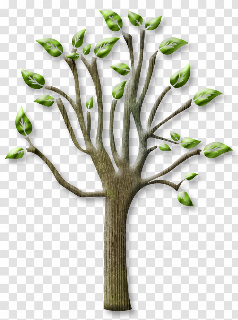 Tree Branch - Grass - Trees Transparent PNG