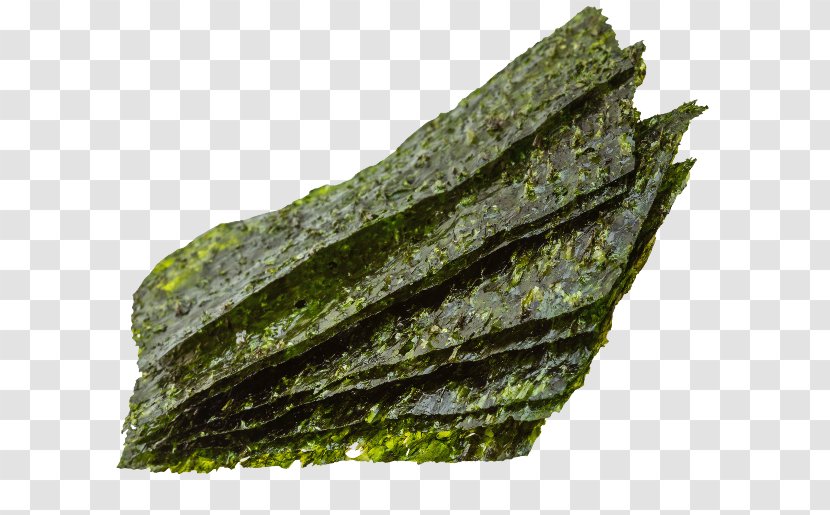 Algae Nori Seagrass Spinach Food - B Vitamins - Alg Transparent PNG