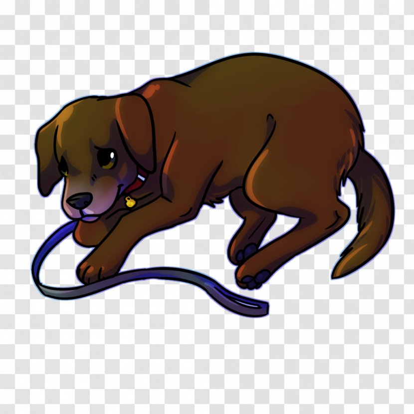 Dog Breed Puppy Cat Snout - Competiton Transparent PNG