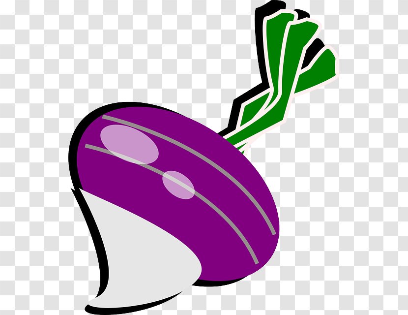 The Gigantic Turnip Vegetable Clip Art Transparent PNG