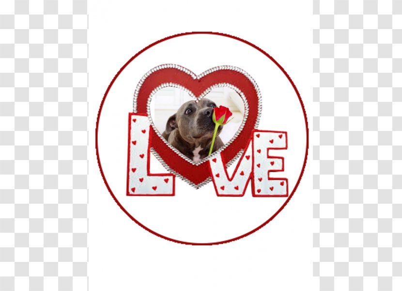 Alt Attribute February 22, 2018 Galway Text Logo - Snout - Puppy Love Transparent PNG