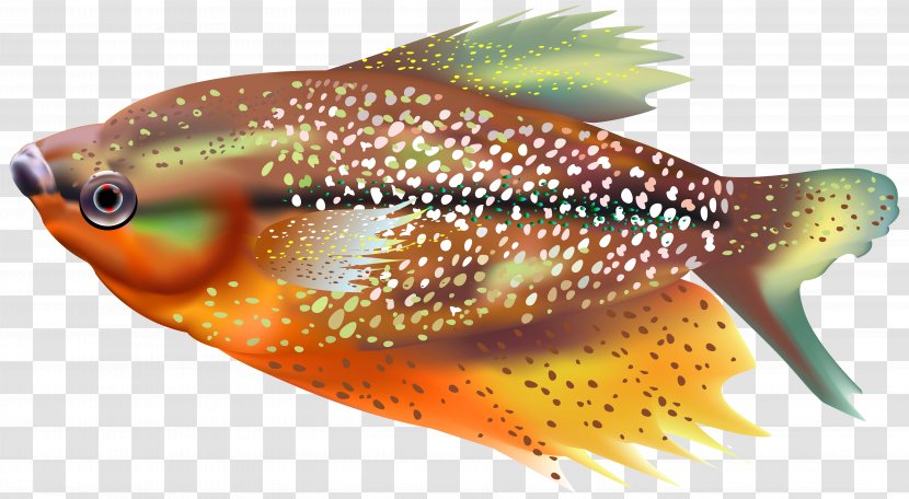 Fish Clip Art - Feeder - Orange Transparent Image Transparent PNG
