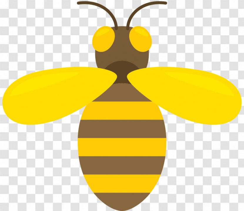 Bee Trap Brilliant The Honey - Infographic Transparent PNG