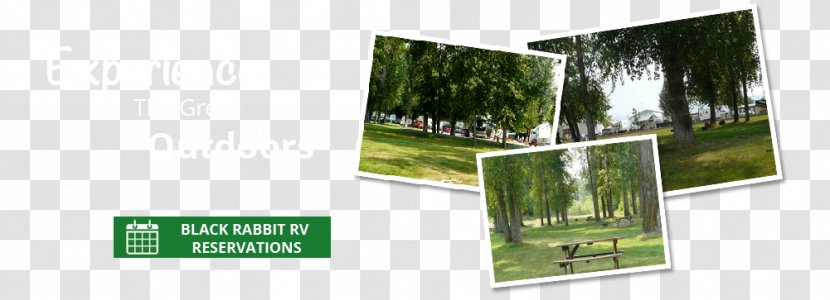 Black Rabbit RV Park & Storage Caravan Campsite Campervans Camping - Land Lot - Rv Transparent PNG