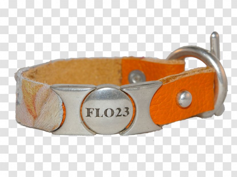 Dog Collar Clothing Accessories - Orange Transparent PNG