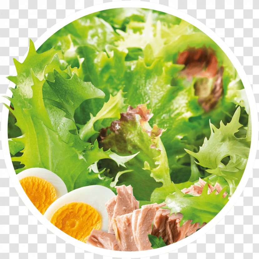 Caesar Salad Vegetarian Cuisine Romaine Lettuce Crudités Vinaigrette - Cheese Transparent PNG