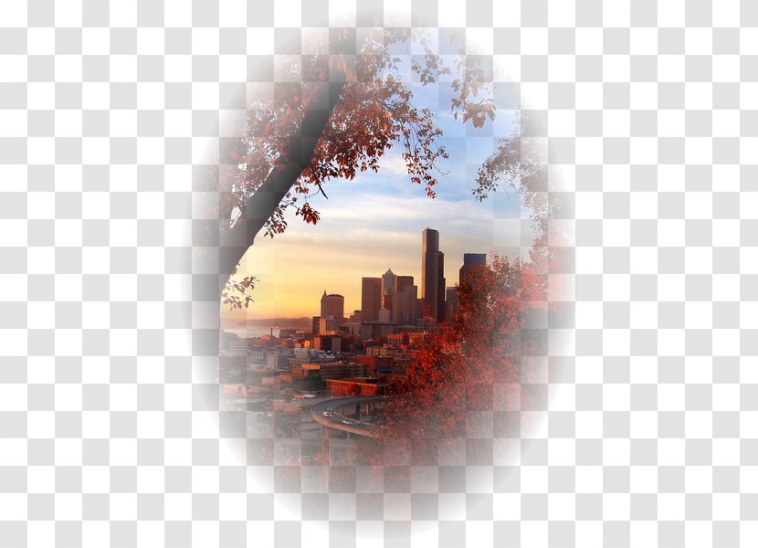 Seattle Autumn Art KGNW - Paisajes Transparent PNG