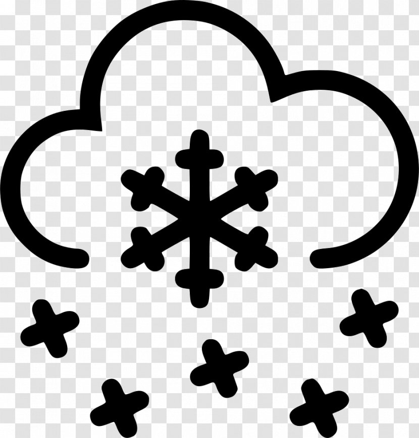 Snowflake Weather Forecasting - Rain And Snow Mixed Transparent PNG