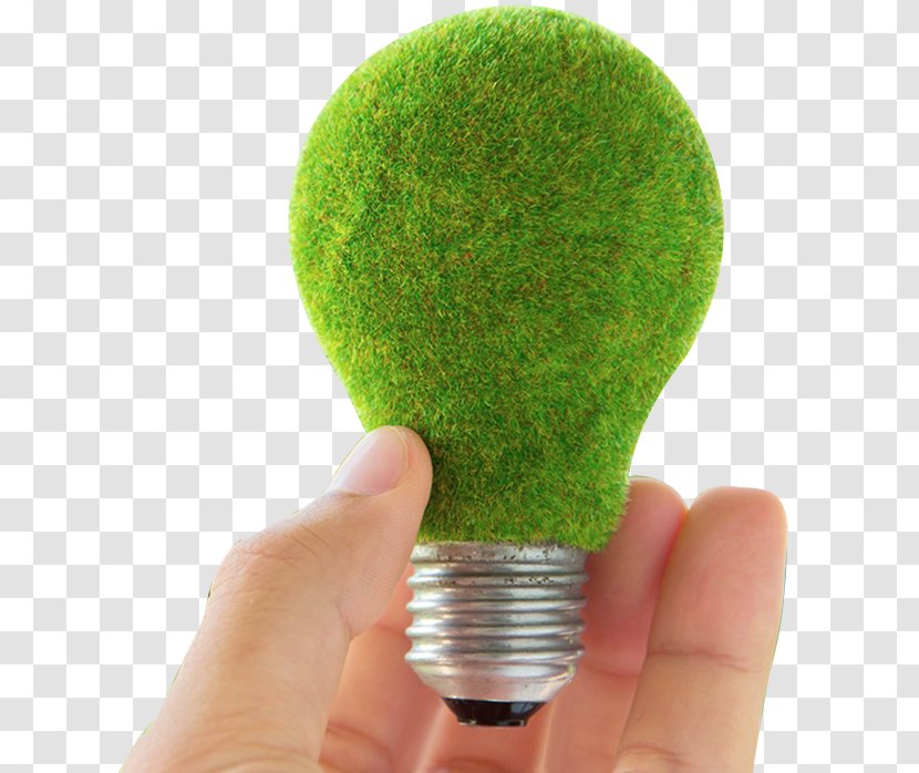 Incandescent Light Bulb LED Lamp Image Printing Lighting - Lions Transparent PNG