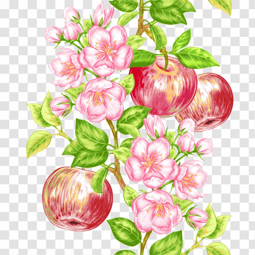 Apple Fruit Tree Icon Transparent PNG