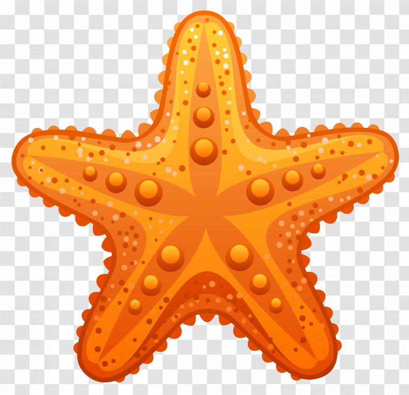 Starfish Ocean Clip Art - Royalty Free Transparent PNG