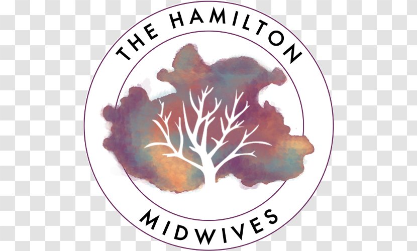 The Hamilton Midwives Childbirth Midwife Health Care - Tree - Postpartum Transparent PNG