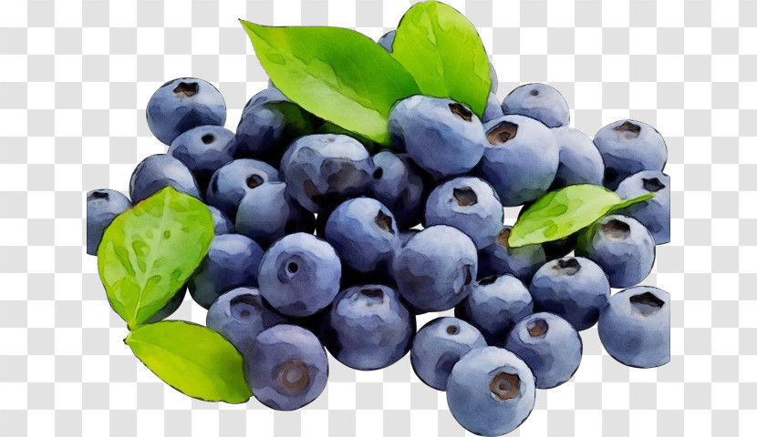 Bilberry Berry Blueberry Fruit Superfood Transparent PNG