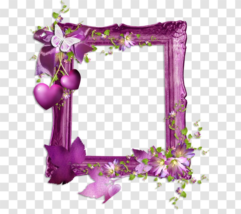 Image Picture Frames Photography - Lavender - Jehovah Transparent PNG