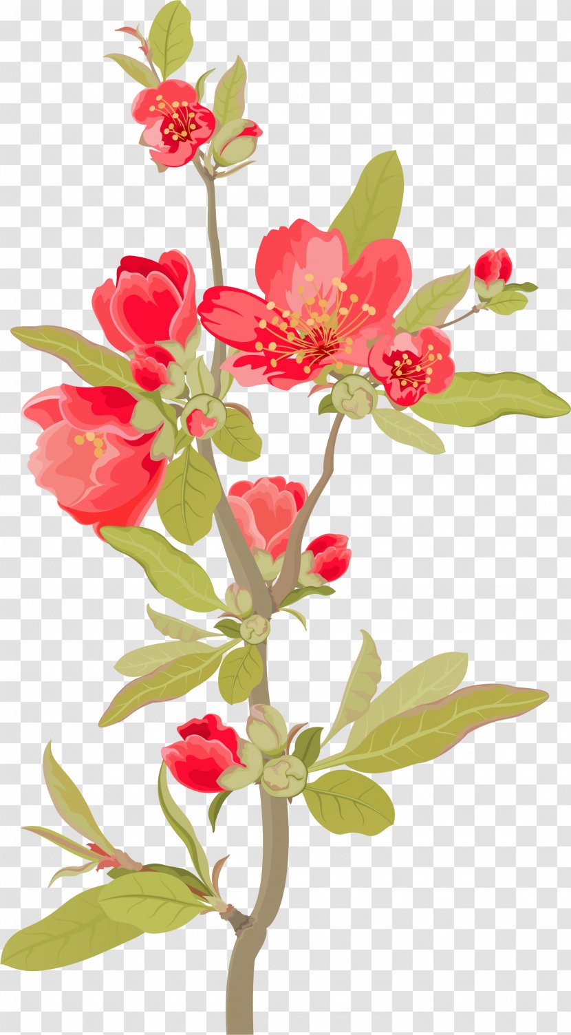 Floral Design Film Poster - Magnolia Flower Branches Transparent PNG