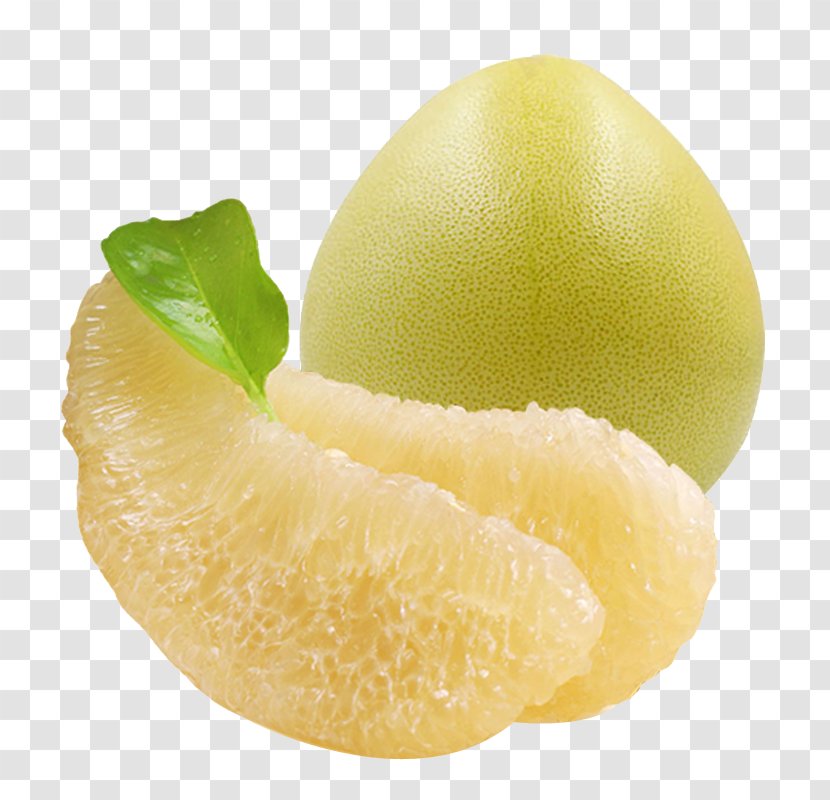 Citron Pomelo Grapefruit Lemon Persian Lime - White Meat Transparent PNG