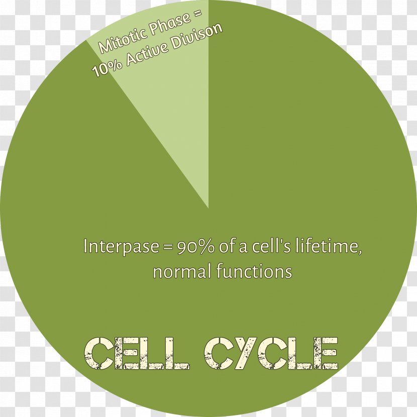 Brand Font - Text - Cellular Chart Transparent PNG